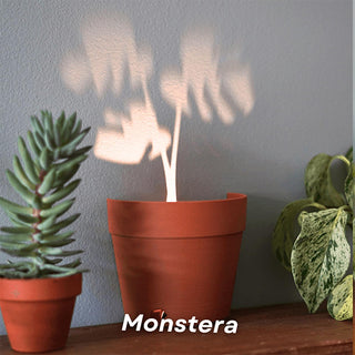 SAKER Light Projections Plant Pot