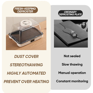 Sakerplus Household Defrosting Machine