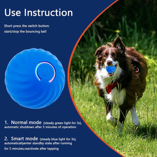 SAKER Electric Rolling Pet Toy Ball