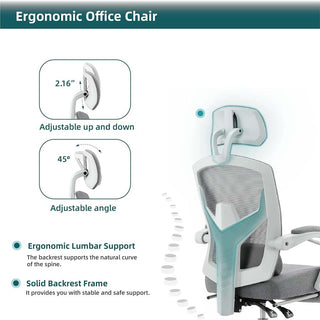 Saker Ergonomic Office Chair