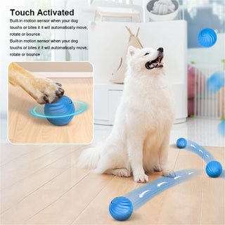 SAKER Electric Rolling Pet Toy Ball