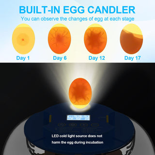 Sakerplus 18-Egg Incubator